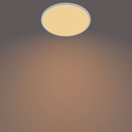 Philips - LED prigušiva plafonska svetiljka SCENE SWITCH LED/22W/230V