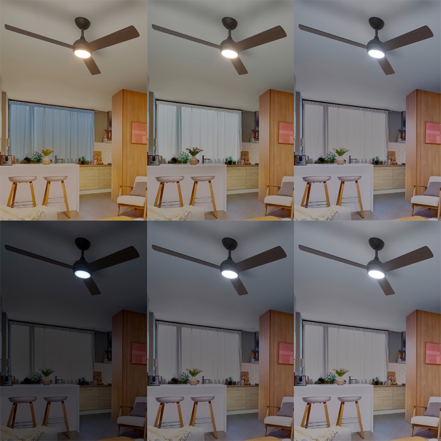 Philips - LED prigušiva stropni ventilator CIVX LED/24W/230V + daljinski upravljač