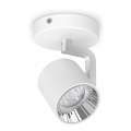 Philips - LED prigušiva spot svetiljka LED/4.5W/230V