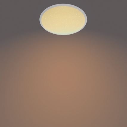 Philips - LED prigušiva stropna svetiljka SCENE SWITCH LED/12W/230V