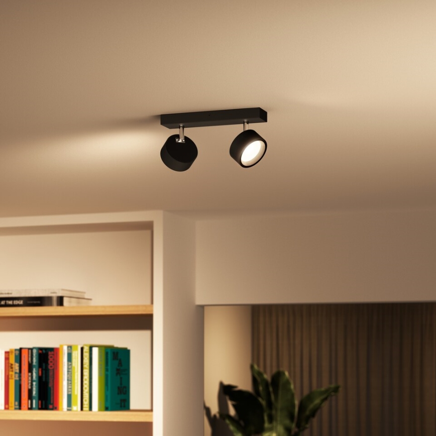 Philips - LED spot svetlo 2xLED/5,5W/230V crno