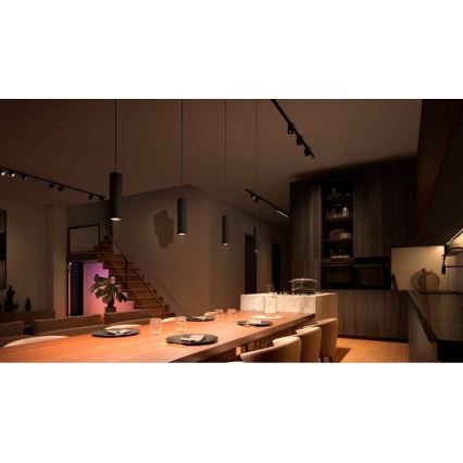 Philips - LED RGB prigušiva luster na sajli za Hue šinski sistem PERIFO LED RGB/5,2W/24V 2000-6500K