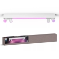 Philips - LED RGBW prigušiva spot svetiljka Hue CENTRIS 4xGU10/4,2W/230V + LED/11W 2000-6500K