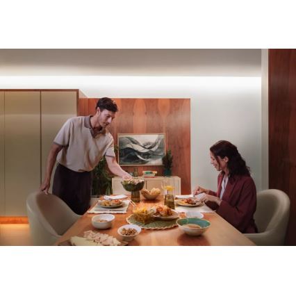 Philips - LED RGBW prigušiva traka Hue FLUX 3m LED/29W/230V 2200-6500K