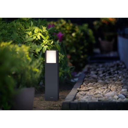 Philips - LED spoljašnja lampa ARBOUR LED/3,8W/230V 40 cm 2700K IP44
