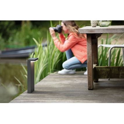 Philips - LED spoljašnja lampa BUSTAN LED/3,8W/230V 2700K 40 cm IP44