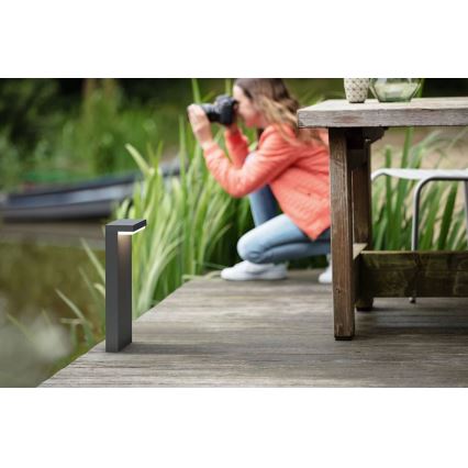 Philips - LED spoljna svetiljka BUSTAN LED/3,8W/230V 2700K 77 cm IP44