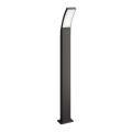Philips - LED spoljašnja svetiljka LED/12W/230V 2700K 96 cm IP44