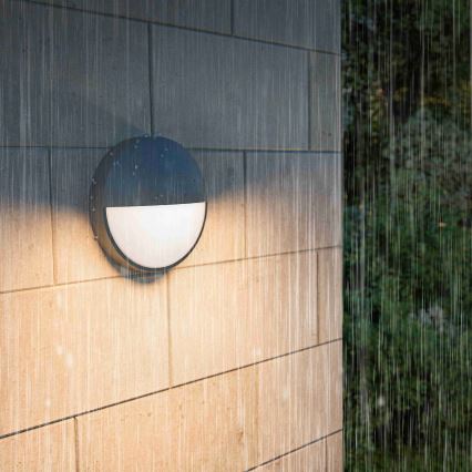 Philips - LED spoljašnje zidno svetlo CAPRICORN LED/4,3W/230V IP44