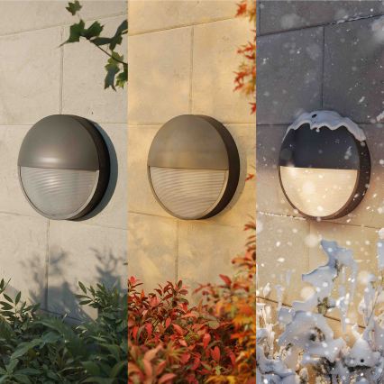 Philips - LED spoljašnje zidno svetlo CAPRICORN LED/4,3W/230V IP44