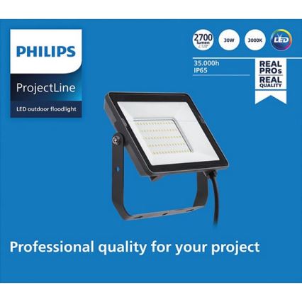 Philips - LED spoljni reflektor PROJECTLINE LED/30W/230V IP65 3000K