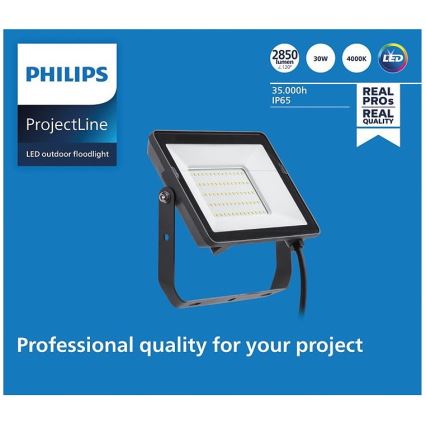 Philips - LED spoljni reflektor PROJECTLINE LED/30W/230V IP65 4000K