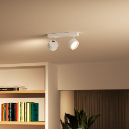 Philips - LED spot svetiljka 2xLED/5,5W/230V bela