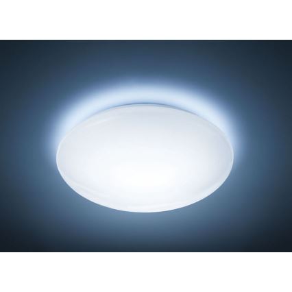 Philips - LED stropna svetiljka SUEDE LED/12W/230V 6500K