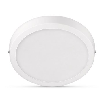 Philips - LED stropno svetlo LED/12W/230V 2700K bela