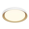 Philips - LED stropno svetlo PEBBLO SCENE SWITCH, prigušiva, LED/10W/230V 2700K, belo