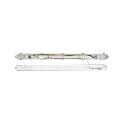 Philips - LED tehnička fluorescentna svetiljka CORELINE LED/37,5W/230V 150 cm IP66