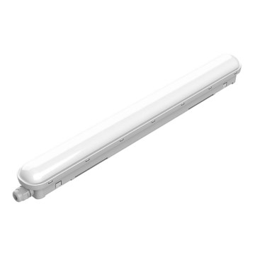 Philips - LED tehničko svetlo PROJECTLINE LED/18W/230V 58 cm IP65