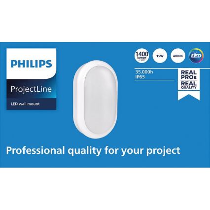 Philips - LED zidno svetilo PROJECTLINE LED/15W/230V IP65