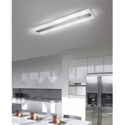 Philips Massive 85115/14/31 - Fluorescentna svetiljka DECOLINE 2xG5/14W/230V