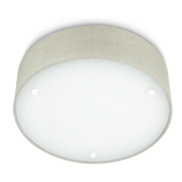 Philips - Plafonska svetiljka 2xE27/23W/230V
