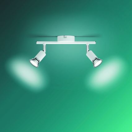 Philips - Spot svetiljka 2xGU10/50W/230V bela