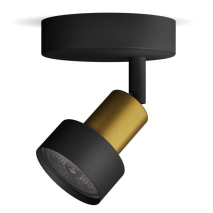 Philips - Reflektorsko svetlo CONDUIT 1xGU10/5W/230V crna/mesing