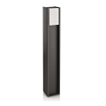 Philips - Spoljašnja stojeća lampa BRIDGE 1xE27/14W/230V IP44 80,2 cm