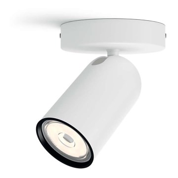 Philips - Spot svetiljka 1xGU10/5,5W/230V