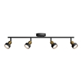 Philips - Spot svetiljka CONDUIT 4xGU10/5W/230V crna/mesing