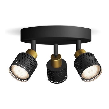 Philips - spot svetiljka NIALL 3xGU10/5W/230V crna/mesing