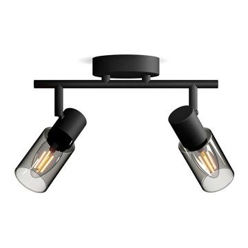 Philips - Spot svetiljka PALMS 2xE14/25W/230V