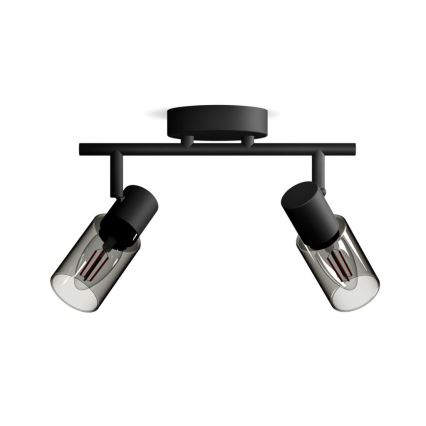 Philips - Spot svetiljka PALMS 2xE14/25W/230V