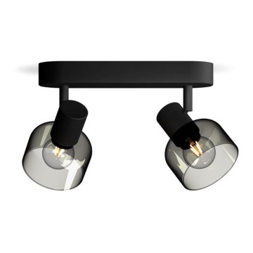 Philips - Spot svetiljka SLEET 2xE14/25W/230V