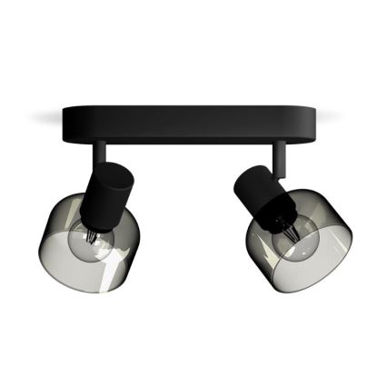 Philips - Spot svetiljka SLEET 2xE14/25W/230V