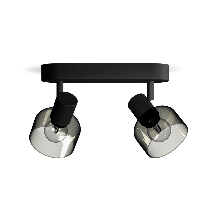 Philips - Spot svetiljka SLEET 2xE14/25W/230V