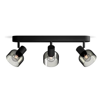 Philips - Spot svetiljka SLEET 3xE14/25W/230V
