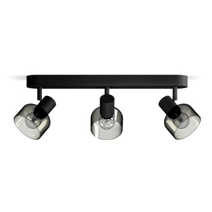 Philips - Spot svetiljka SLEET 3xE14/25W/230V