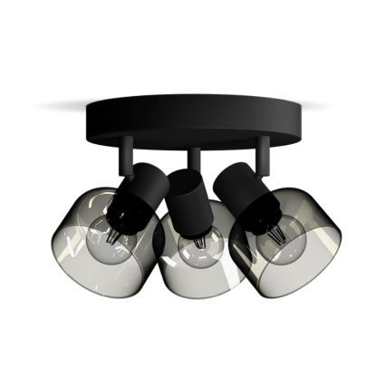 Philips - Spot svetiljka SLEET 3xE14/25W/230V