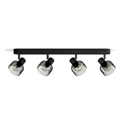 Philips - Spot svetiljka SLEET 4xE14/25W/230V