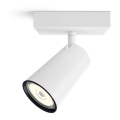 Philips - Ugradni spot 1xGU10/5,5W/230V