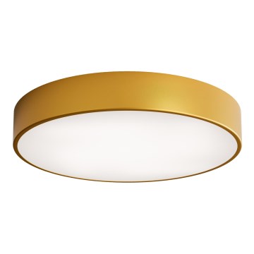 Plafonska lampa sa senzorom pokreta i sumraka CLEO 4xE27/24W/230V prečnik 50 cm zlatna