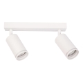 Plafonska spot svetiljka PIPE 2xGU10/10W/230V bela