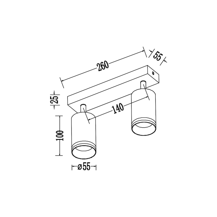 Plafonska spot svetiljka PIPE 2xGU10/10W/230V bela