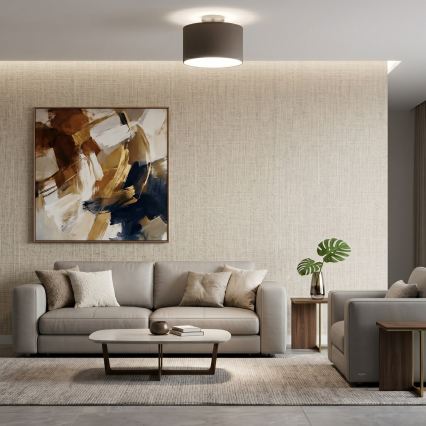 Plafonska svetiljka ARDEN 1xE27/15W/230V, prečnik 25 cm, crna