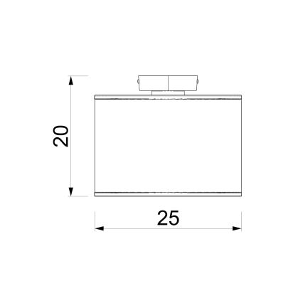 Plafonska svetiljka ARDEN 1xE27/15W/230V, prečnik 25 cm, crna