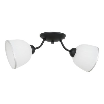 Plafonska svetiljka AVIA 2xE27/60W/230V
