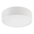Plafonska svetiljka NATURAL 1xE27/15W/230V prečnik 27,5 cm borovina/bela