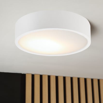 Plafonska svetiljka NATURAL 1xE27/15W/230V prečnik 27,5 cm borovina/bela