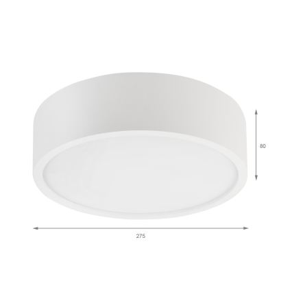 Plafonska svetiljka NATURAL 1xE27/15W/230V prečnik 27,5 cm borovina/bela